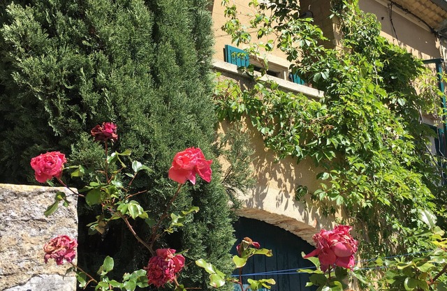 The House Near the Fountain - Indoor Spa