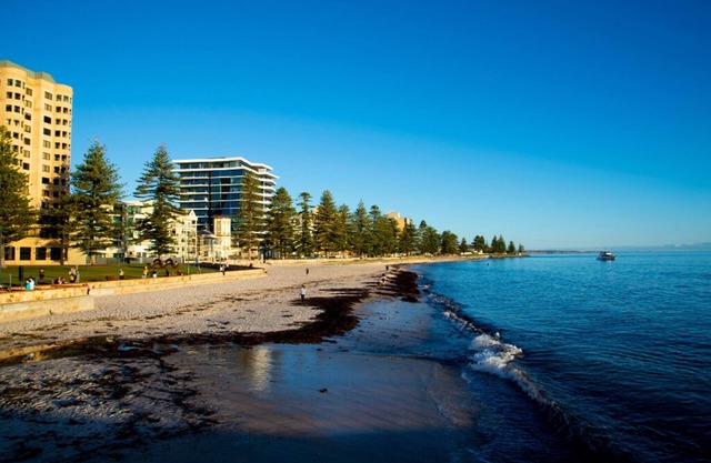 The Loft Glenelg, Cosy-oasis beachsidenEntire home, Private fenced backyard