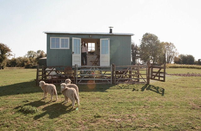 The Lookerer by Bloom Stays - a rural shepherds hut with amazing views!