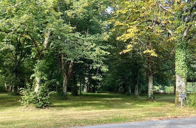 The maples - sainte maure de Touraine