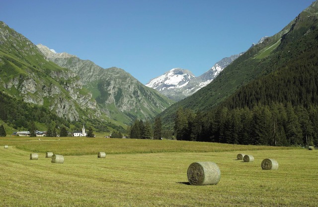 The MaiZon du Bois - The Bottom 70 m²