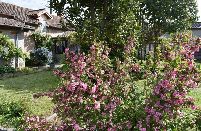 The Molieres house -