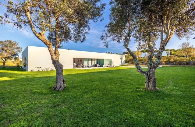 The New York Times - BOM SUCESSO