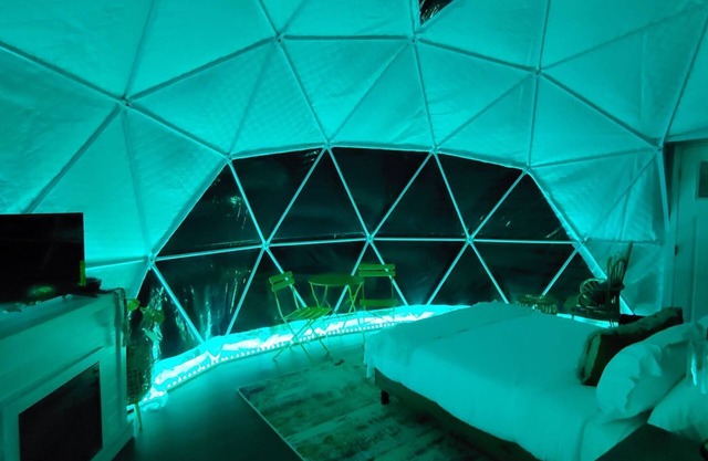 The Penguin Geodesic dome " Igloo Vibes"