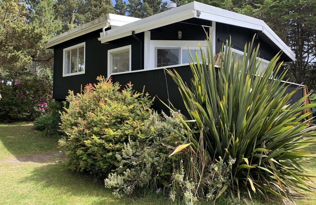 THE SEA STAR - Great Beach Escape