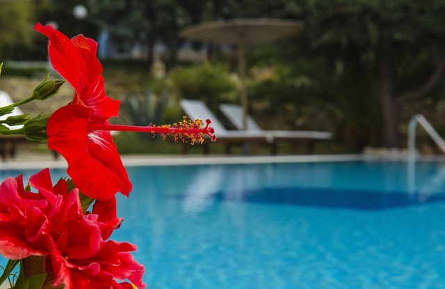 The Small Village Villas Resort