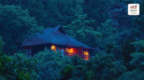 The Tamara Coorg