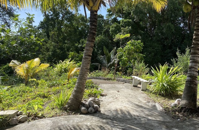 The tropical garden