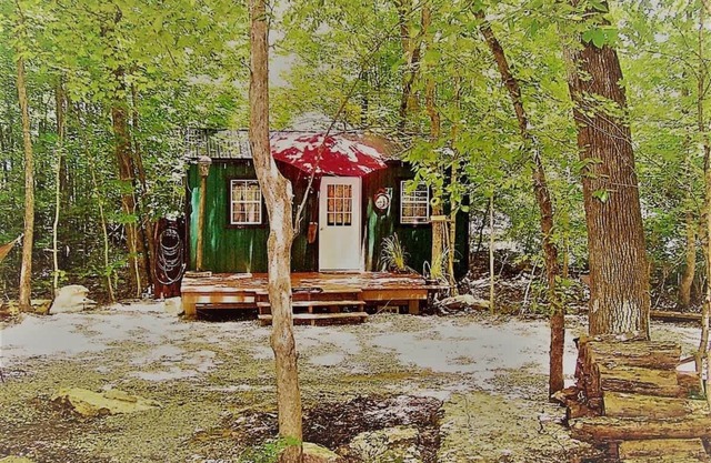 The Watertree Tiny House at Twig City Farm!