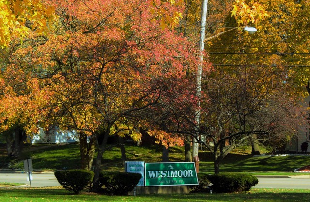 The Westmoor