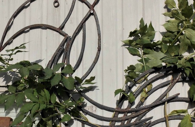 Thisted Øst Bed & no Breakfast