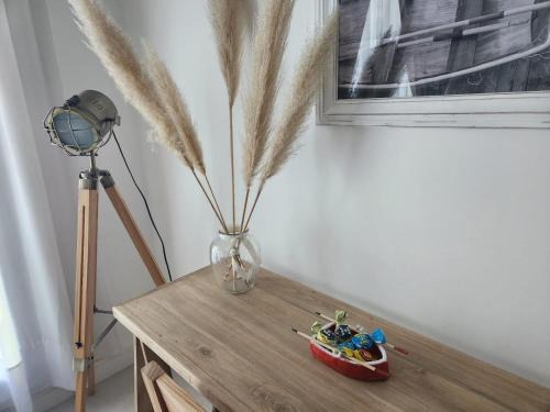 Tigre Studio Apartment