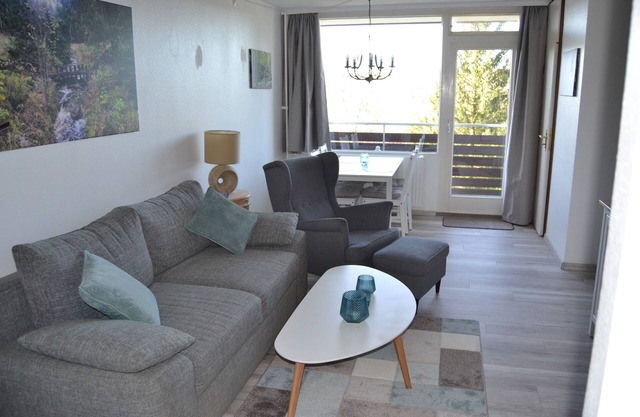Tinharz Holiday ApartmentnPeace and tranquility in the Harz .Dogfriendly.