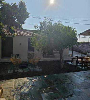 Tiny Cottage lemon & pies