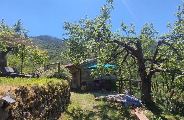 Tiny Rustico CASA LUCERTOLA with outdoor kitchen & pool. Pets welcome!