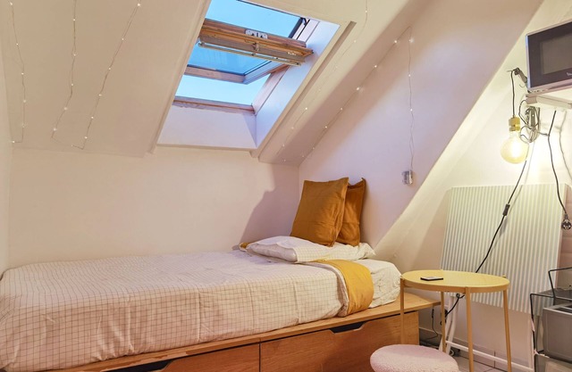 Top roof view studio with elevator/1mn to metro/Paris Centre