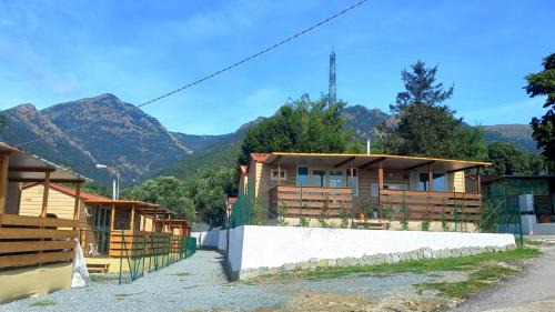 Top Village