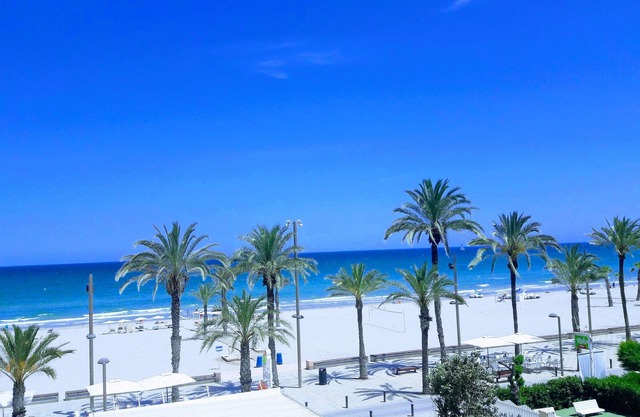 TORREMAR APARTMENT IN FRONT OF THE SEA. VT- 450557-A