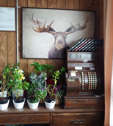 Town and Country Motel