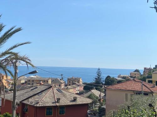 Tra il verde e l'azzurro