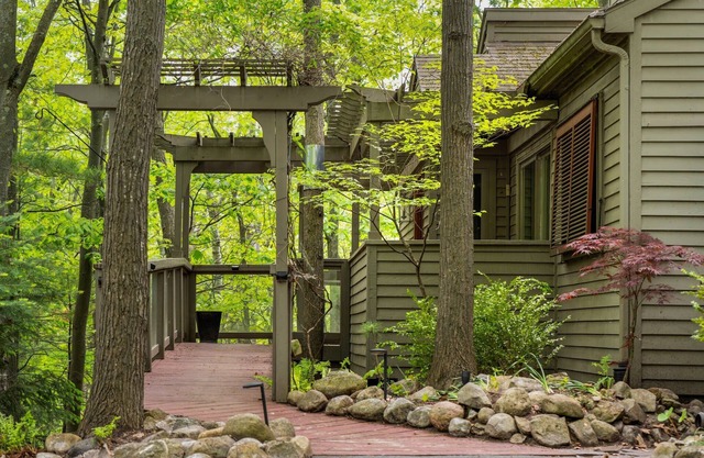 Tree House in The Homestead