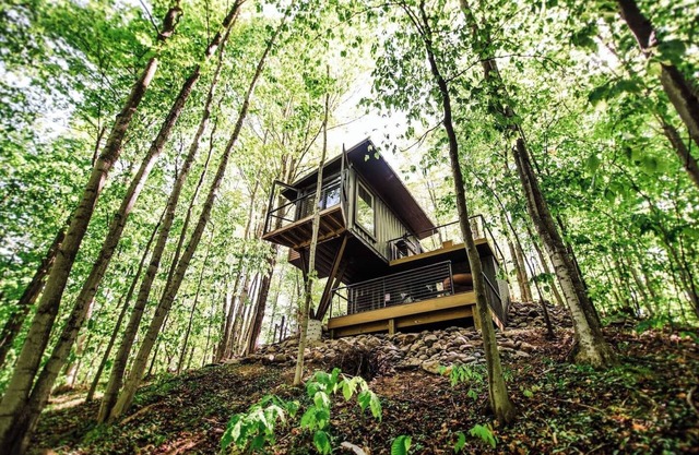 Treehouse Private Acerage