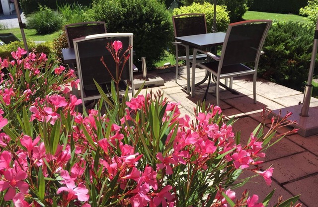 Triple room with shower or bath Bathroom, toilet - Lindenthaler, guesthouse