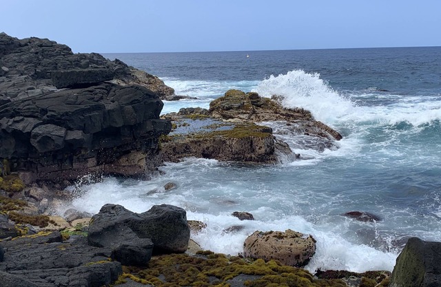 Tropical Hideaway near Hilo