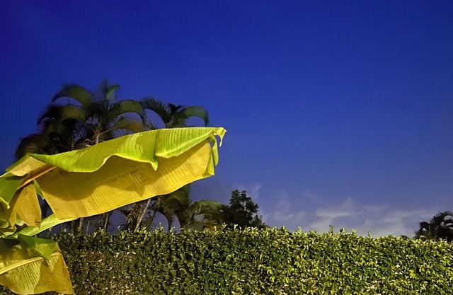 Tropical Oasis in Puerto Rico! 5BR Family Retreat w/Private Pool & Lush Yard!