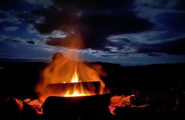 Truffle Experience Awaits - Capertee Valley