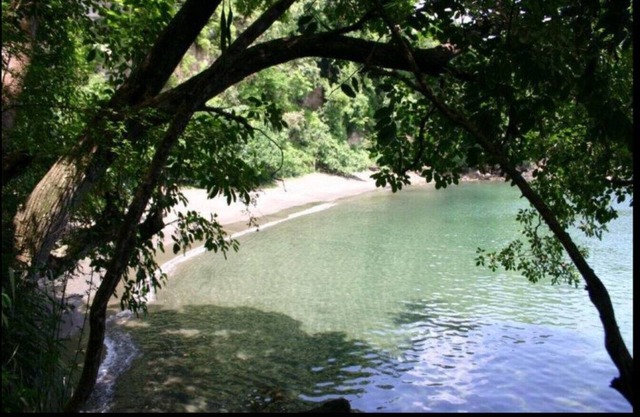 Turtle Cottage-Beach View