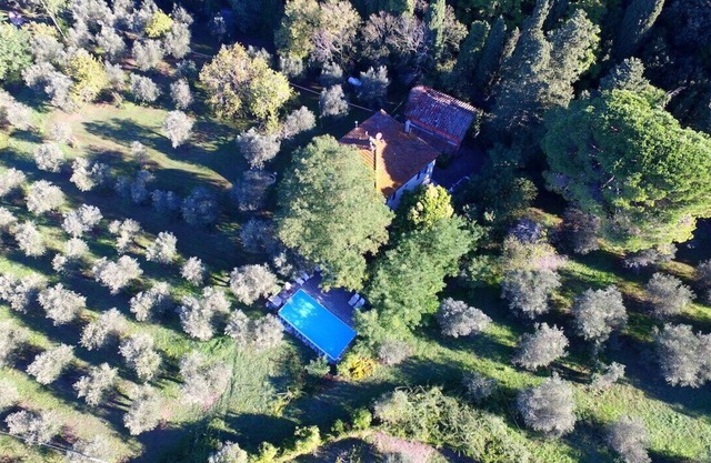 TUSCAN HILLS - Tenuta di Ghizzano- Private Villa - Casa Guardia 8/10 pax