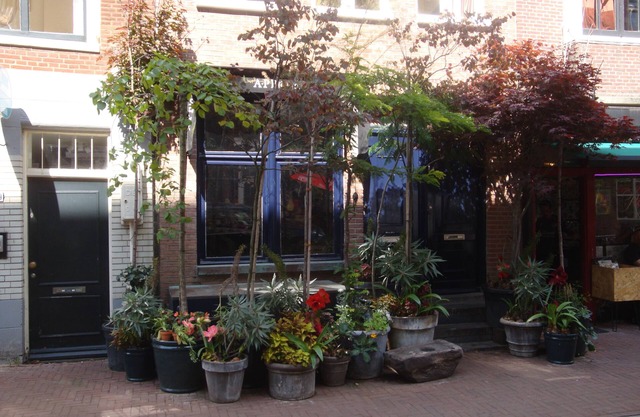 Two bedroom apartment in the museum districht