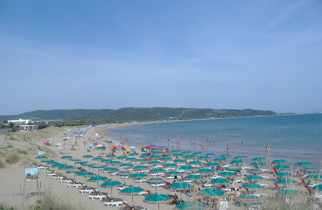 Two-room detached house 2/4 beds Tenuta Montincello