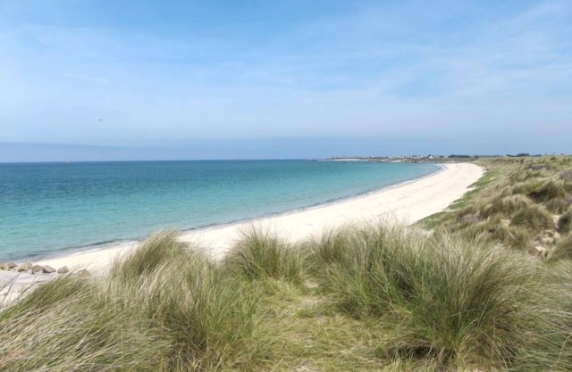 Ty Channed by Interhome