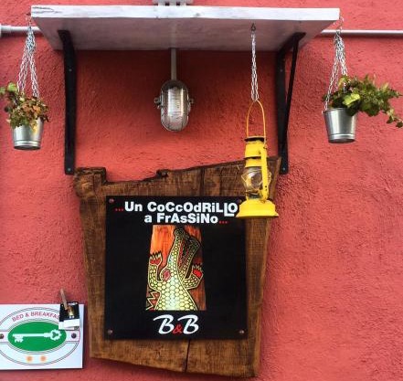 Un coccodrillo a FrAsSiNo