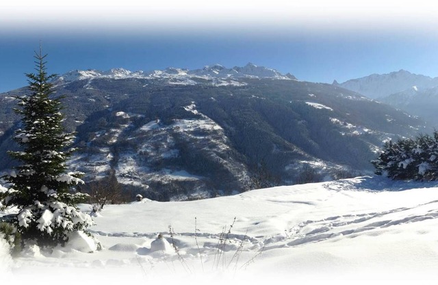 Une Sensation Japonaise au Coeur de la Savoie !