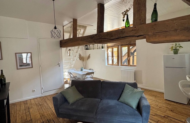 Unique apartment in the historic heart of Troyes - Ruelle des chats/rue Champeaux