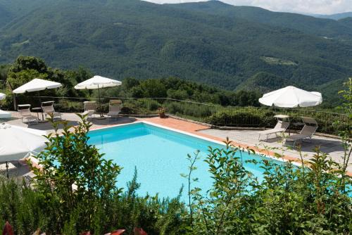 Universal Harmony - Cinciallegra