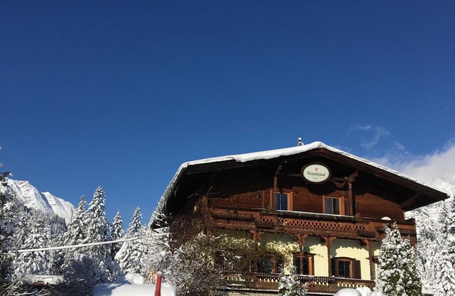 Unusual double room without balcony - Haus Waldhäusl