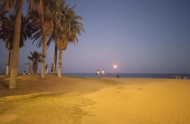 UPLA - Urban Playa Luz 1