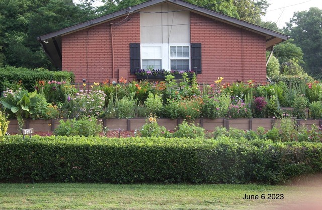 Urban garden home near Duke/Downtown/Museums