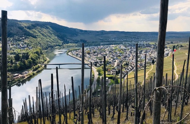 Vacation apartment Kleine Auszeit in Maring-Noviand Ferienland Bernkastel-Kues