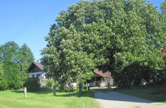 Vacation apartment/apartment for 4 guests with 55m² in Steingaden (114686)
