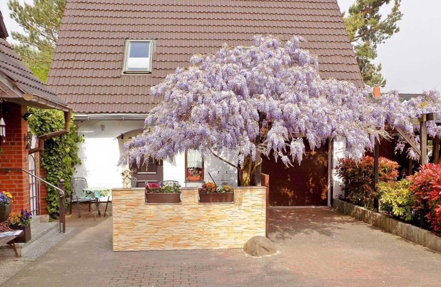 Vacation cottage Blauregen