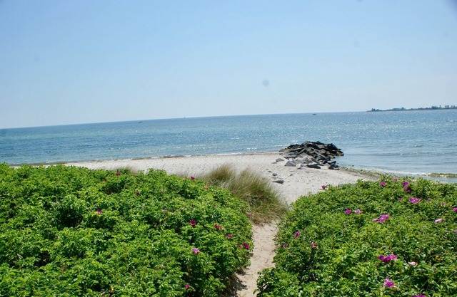 Vacation apartment/apartment for 7 guests with 100m² in Fehmarn OT Fehmarnsund (126504)