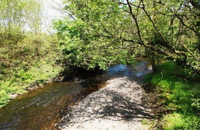 Vacation home Bwthyn yr Onwydden in Llandovery - 6 persons, 2 bedrooms