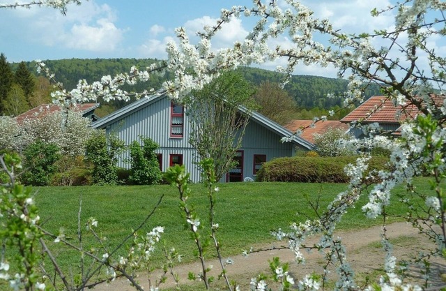 Vacation home for 6 guests with 75m² in Waldmünchen (121650)