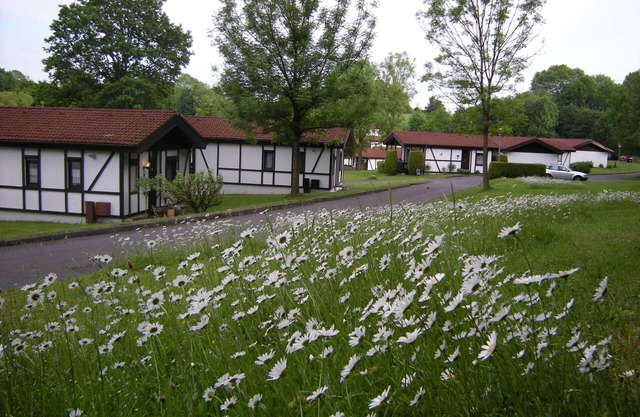 Vacation homes for 4 to 6 people in the RHÖN RESIDENCE resort.
