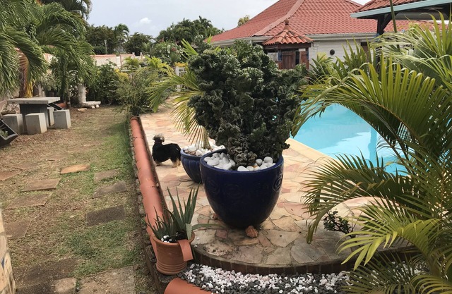 vacation rentals low villa
